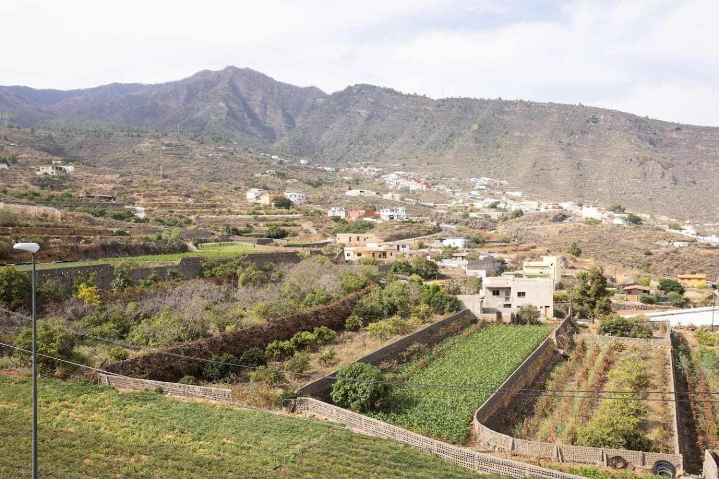 Desconecta En Candelaria سانتا كروز دي تينيريف المظهر الخارجي الصورة
